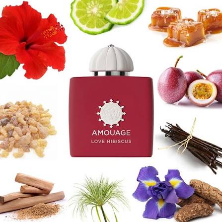 AMOUAGE LOVE HIBISCUS - EAU DE PARFUM 100 ML